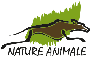 Nature Animale